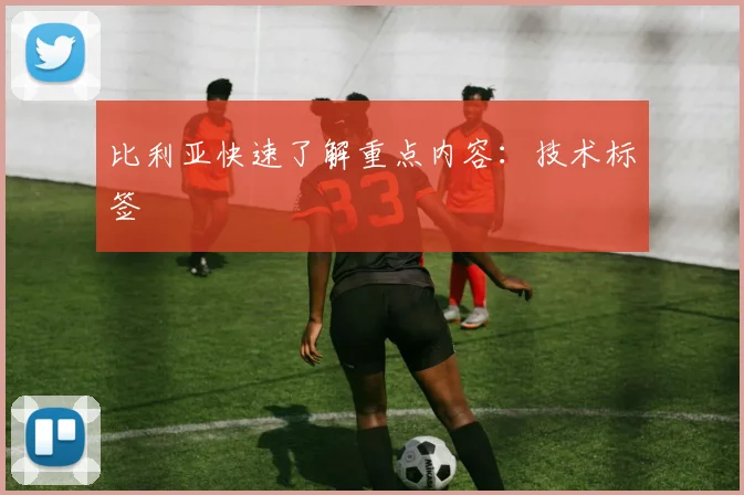 比利亚快速了解重点内容:技术标签