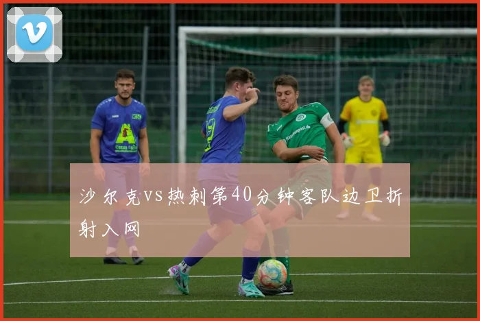 沙尔克vs热刺第40分钟客队边卫折射入网