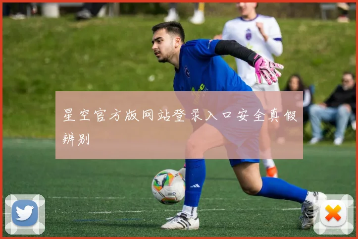 星空官方版网站登录入口安全真假辨别